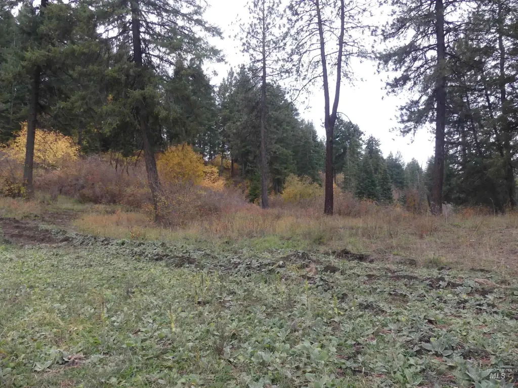 Picture 41