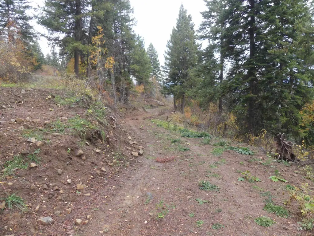 Picture 37