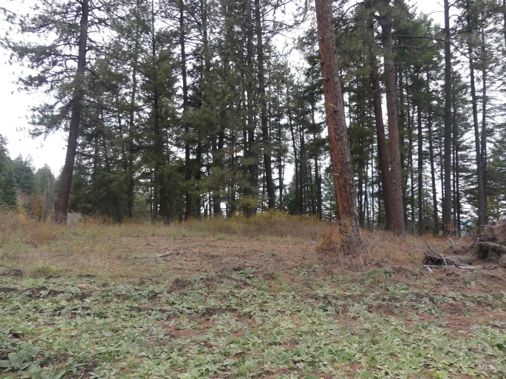 Picture 42