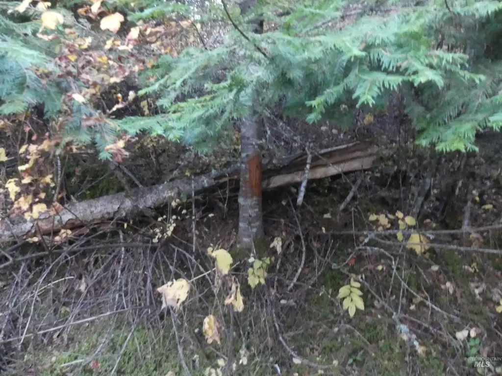 Picture 47