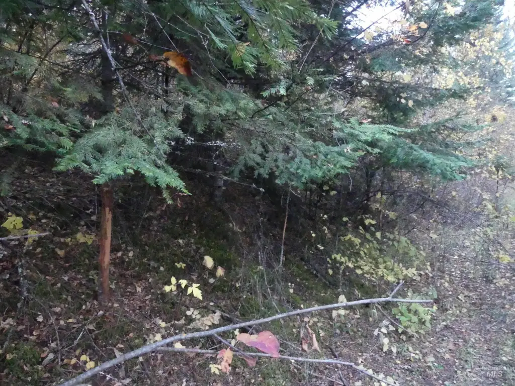 Picture 48