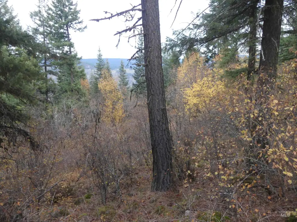 Picture 43