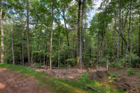Blue Ridge Vacant Wooded Lot