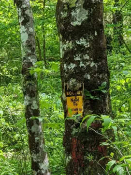 Land Near Cohutta Wilderness