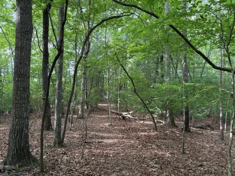 Morganton Acreage with Building Sites