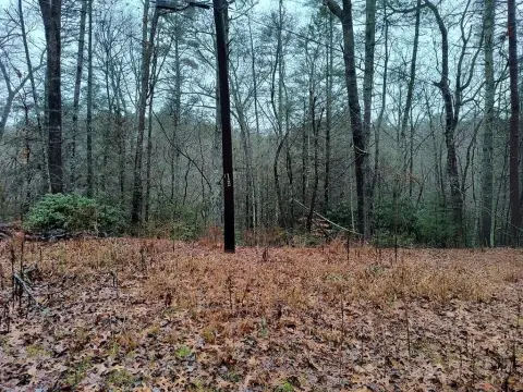 East Ellijay Vacant Lot