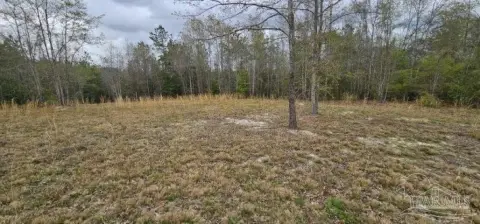 Wooded Land Near Big Escambia Creek