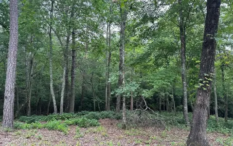 Brasstown Vacant Lot For Sale