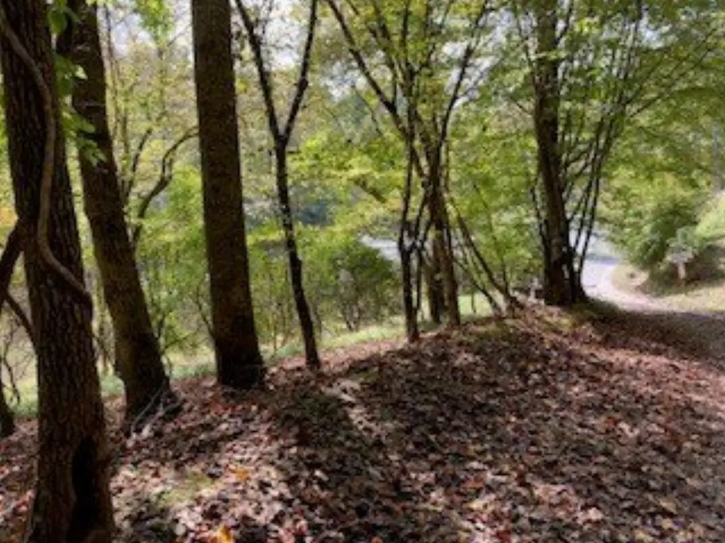Picture 13