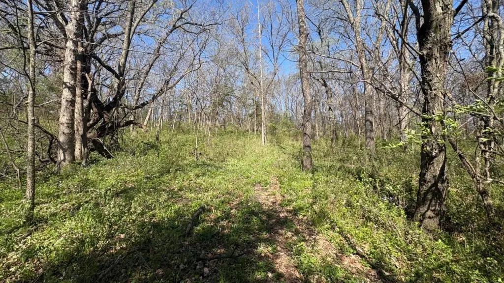 Picture 25
