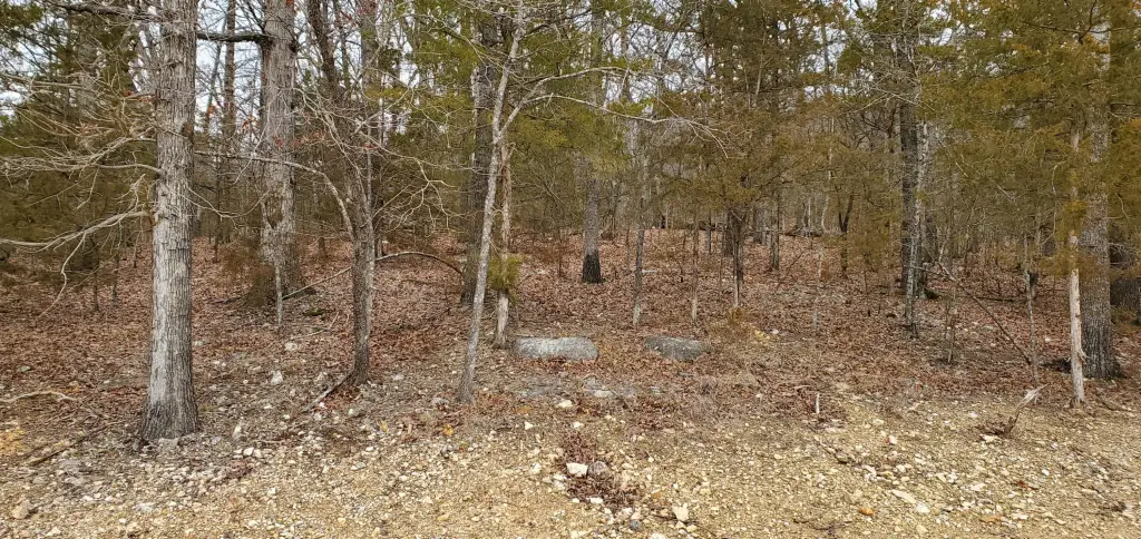 Picture 2