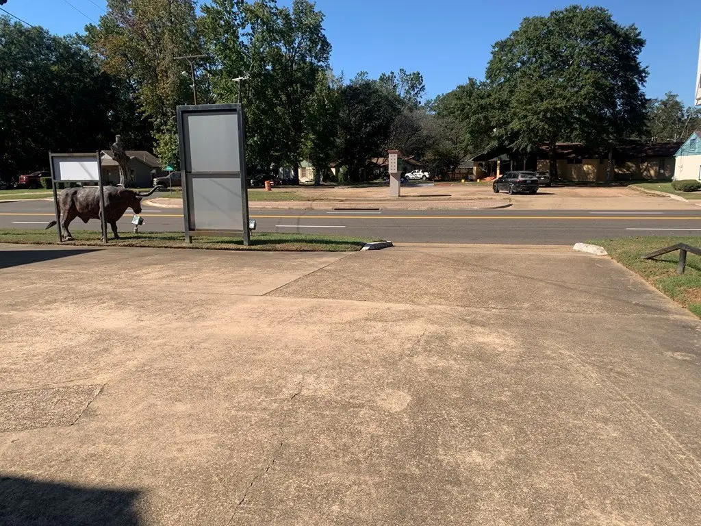 Picture 25