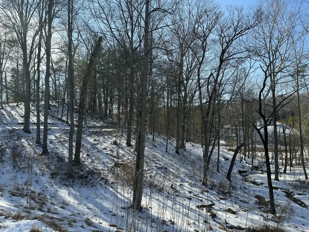 Picture 15