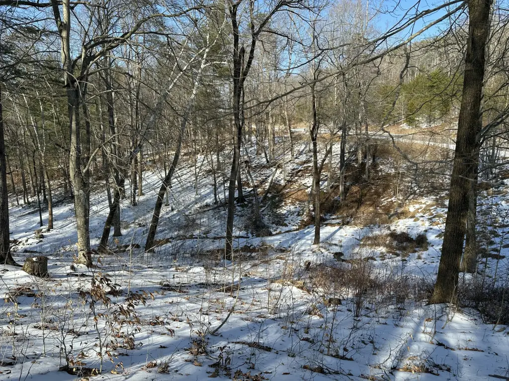 Picture 5