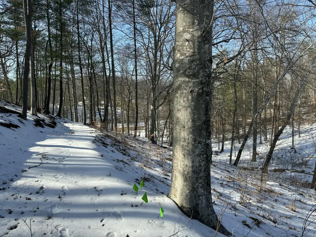 Picture 13