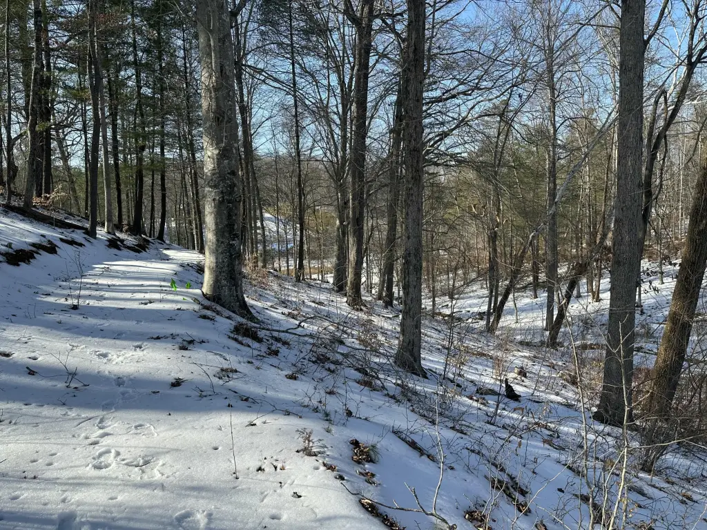 Picture 14