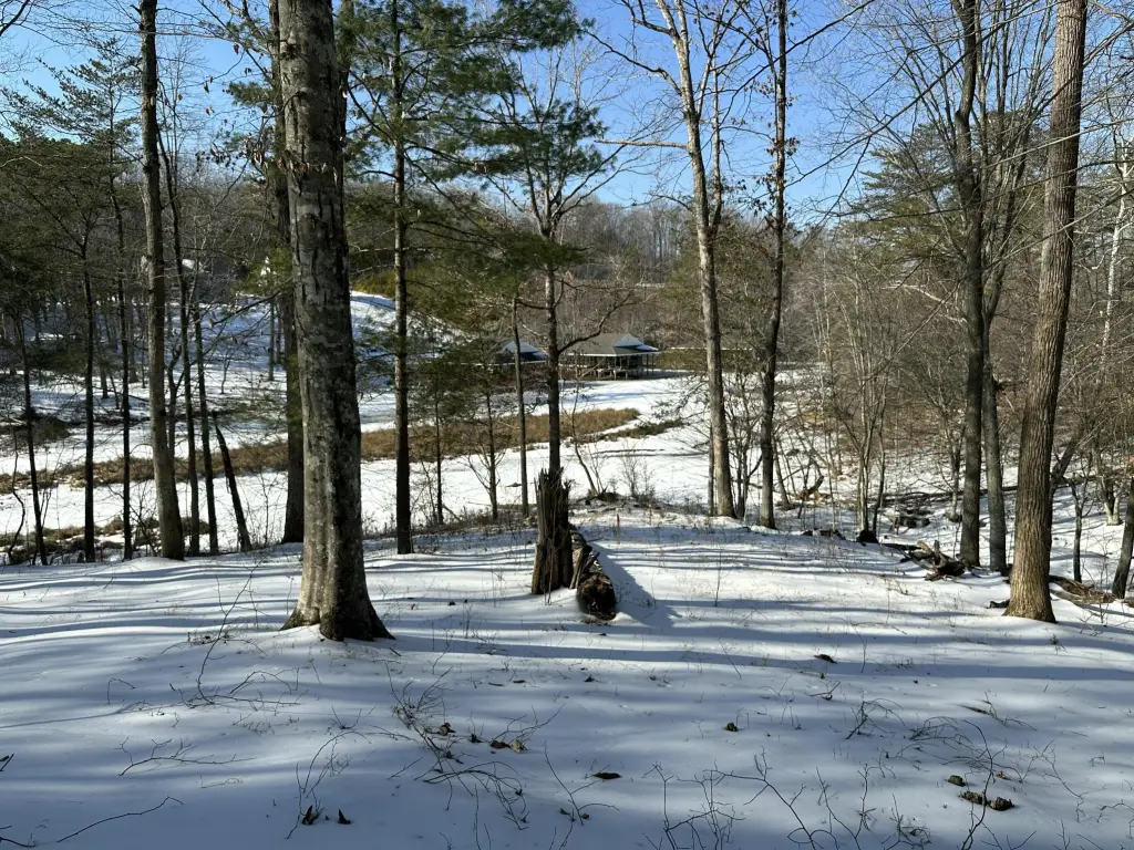 Picture 8