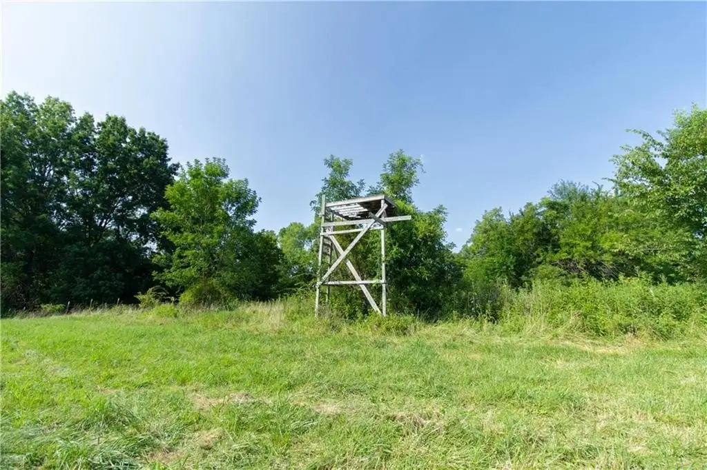 Picture 18