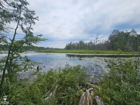 Millersburg Land with Lake Frontage