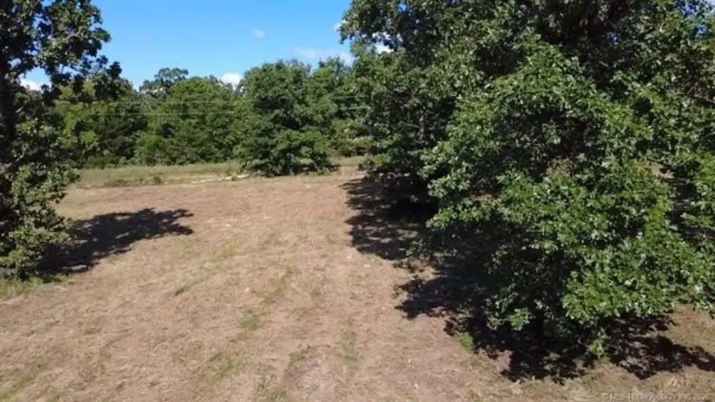 Picture 34