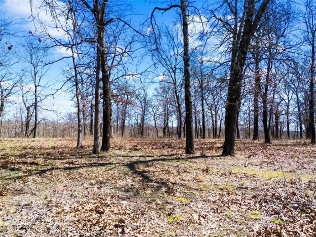 Picture 11
