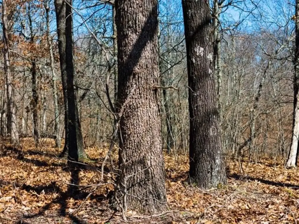 Picture 14