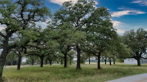 30-Acre Ranch Ready for Development