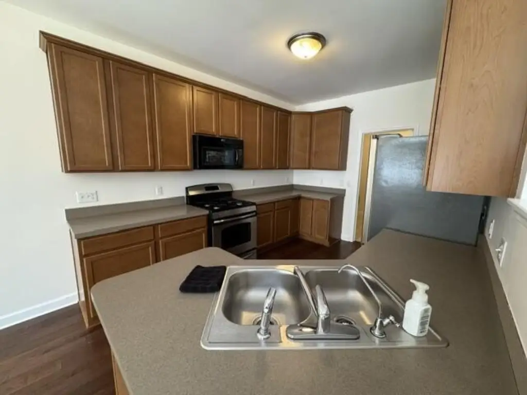 Picture 5