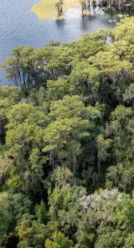Waterfront Land on Big Lake