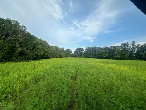 Thornville Land with Green Pasture