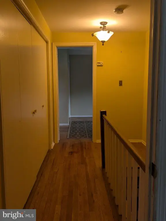 Picture 13
