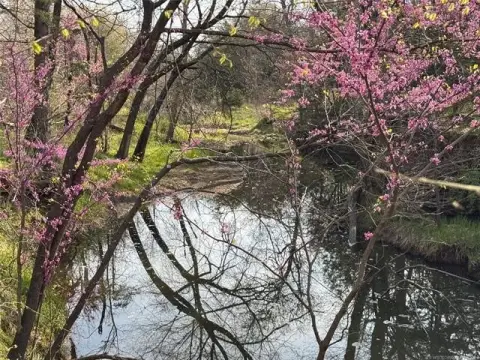 40 Acres Hunting Land with Creek