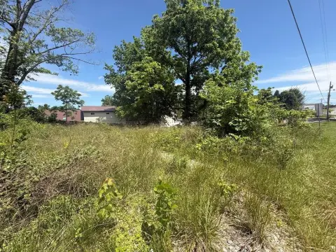 Blue Ridge Vacant Lot