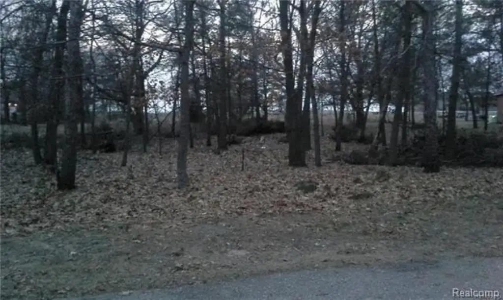 Picture 2