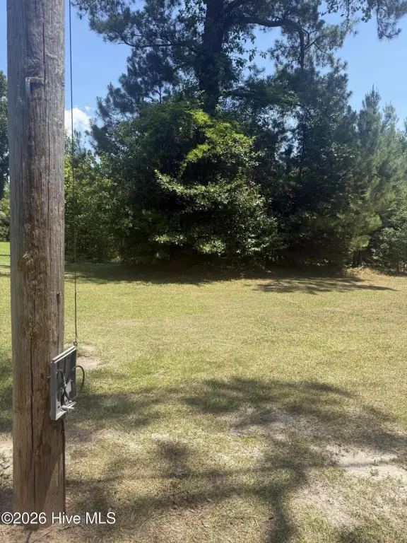 Picture 2