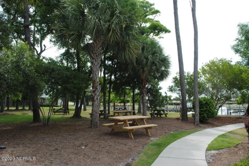 Picture 16