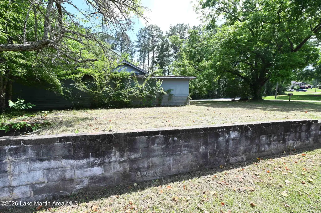 Picture 5