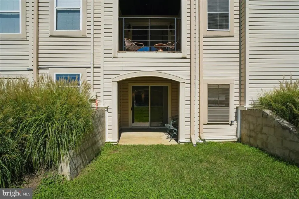 Picture 45