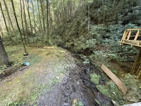 Wooded Recreation Land with Creek