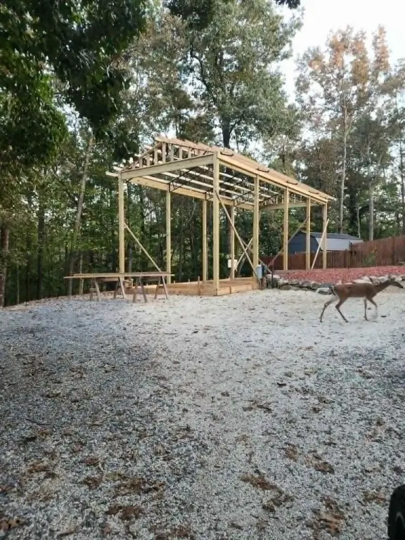 Picture 7