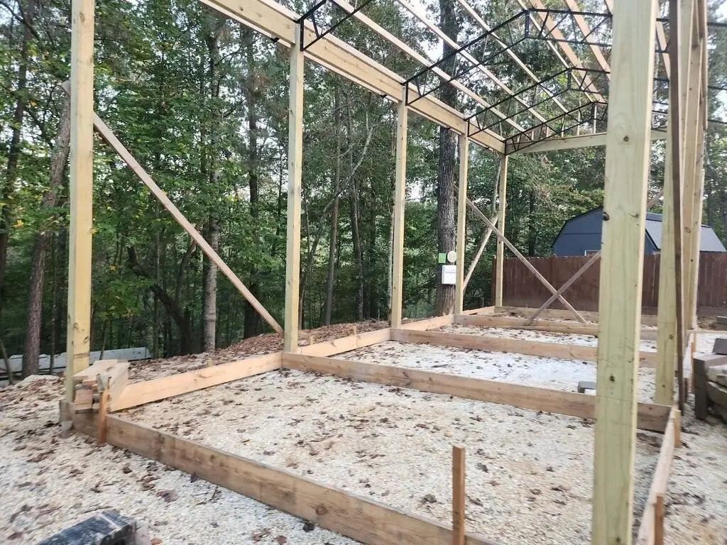 Picture 5