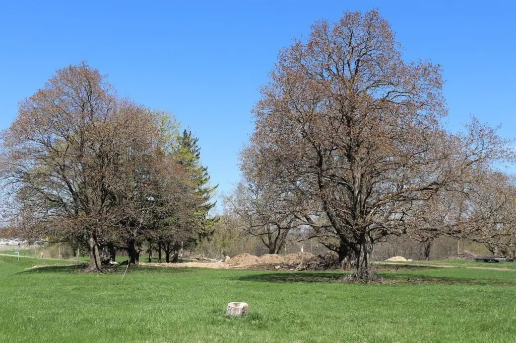 Picture 16