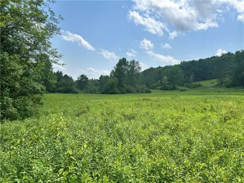 Land For Sale Gilbertsville, NY