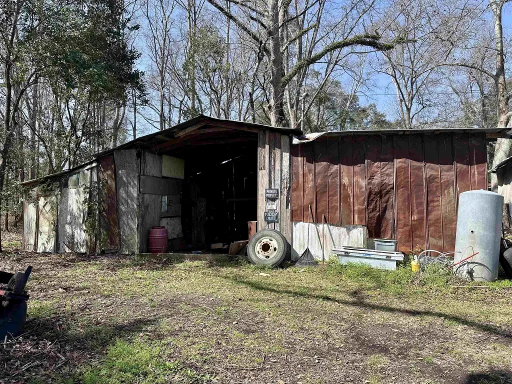 Picture 8