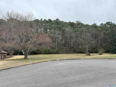 Residential Lot in Guntersville, AL