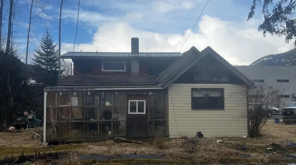 Picture 6