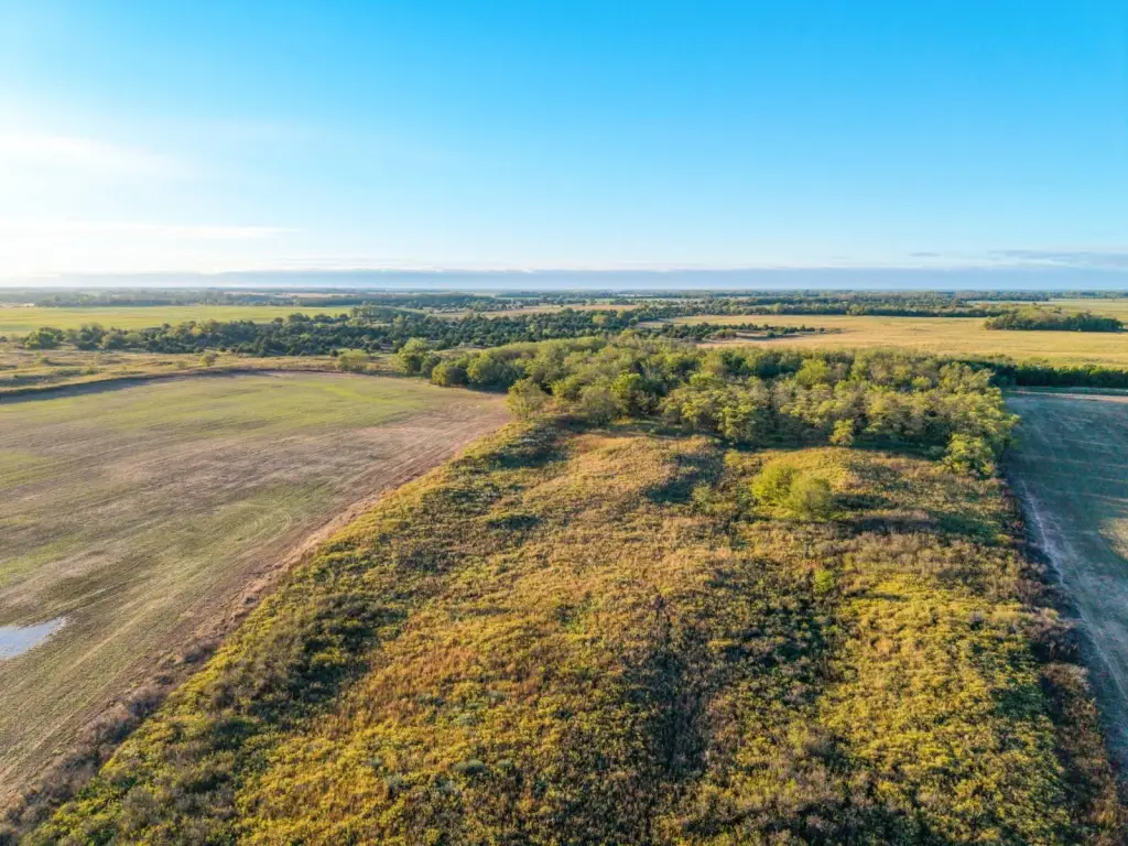 Picture 20