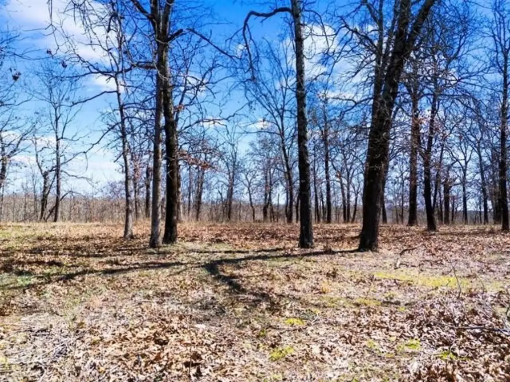 Picture 8