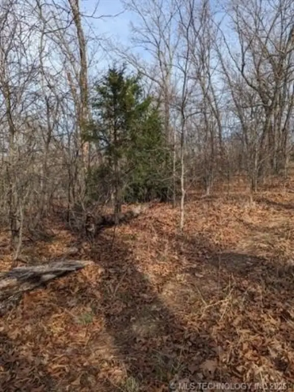 Picture 4