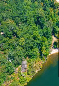 Pickwick Lake Waterfront Acreage